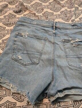 American Eagle Outfitters Light Blue Denim Cutoff Shorts